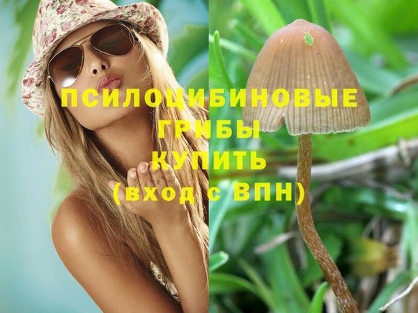 гидра Магадан