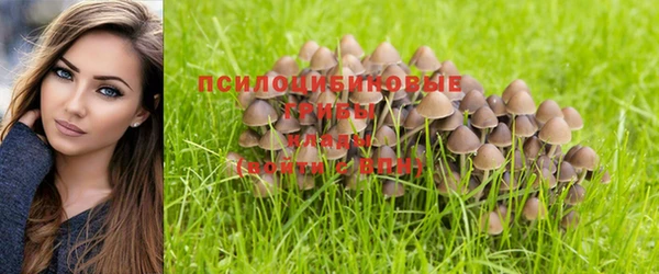 стаф Сясьстрой
