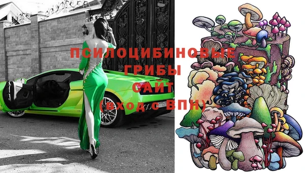 гидра Магадан