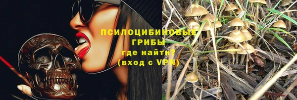 молекула духа Аркадак