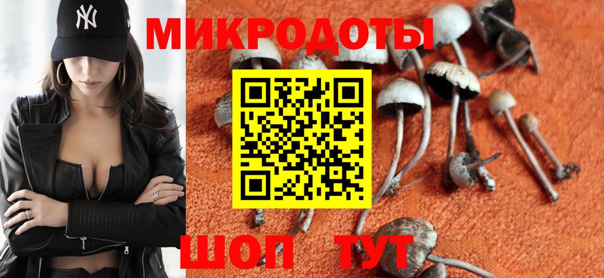 Галлюциногенные грибы Psilocybe  Вход с VPN  Выкса  Псилоцибиновые грибы мицелий 